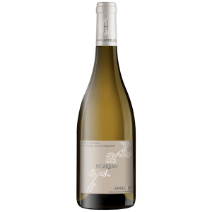 Photo d'une bouteille de Picardan 2023, ancien cépage rare du Languedoc.